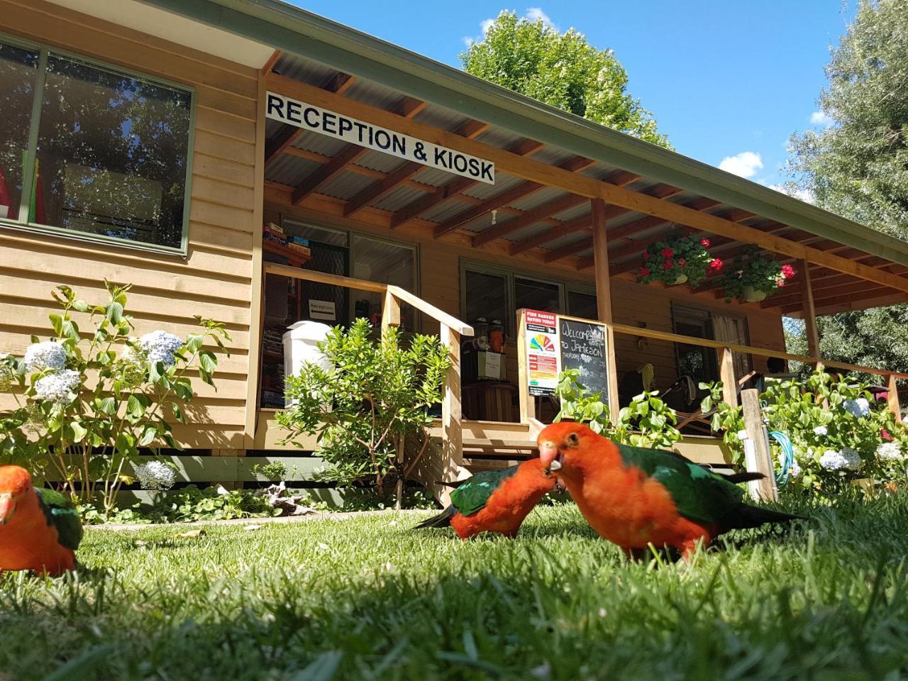 Jamieson Caravan Park Dış mekan fotoğraf
